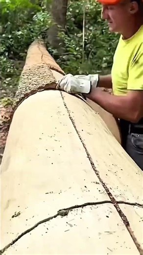 Peeling Wood Barks Using Bark Spuds For Professional And Detailed Creative Woodworking Job