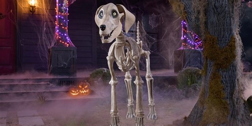 Home Depot's 7-Foot Skeleton Dog Just Restocked in Time for Fall