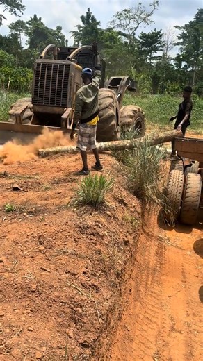 110K views · 874 reactions | Logger work with machine 漢  . .​ .​#johndeere #logging #cutter #gfp #pine #trees #caterpillar579 #tigercat630h #fypシ #tigercat830d #tigercat250d #foryoupage #tigercat632e #fyp #talk #forestry | Peake Warren | Facebook
