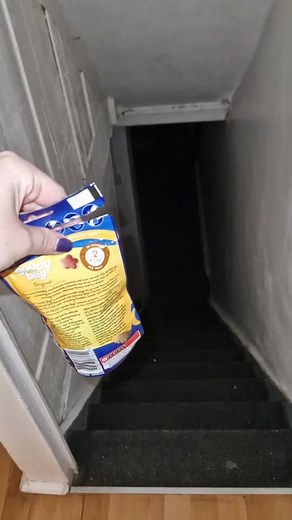 there's a demon in my basement #scary #horror #horrortok #spooky #cat #blackcat #void