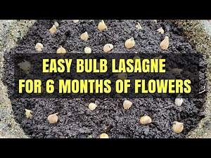 Bulb Lasagne | Layering Bulbs To Create A 6 Month Display Of Flowers | Perennial Cottage Garden