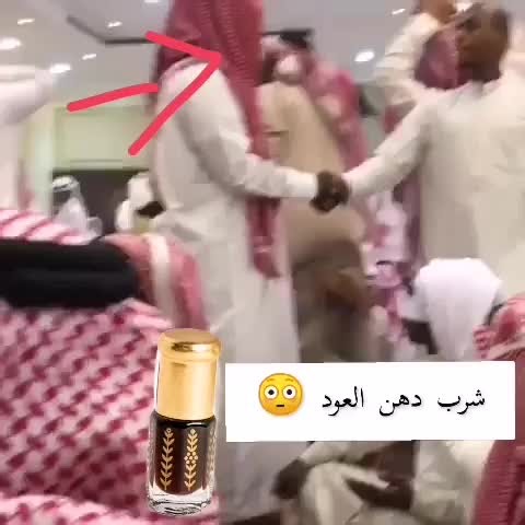 Traditional Middle Eastern Dance Celebration