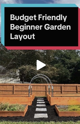 Budget Friendly Beginner Garden Layout Ideas