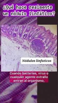 WHAT DOES A LYMPH NODE ACTUALLY DO?? #biology #histology #soccer