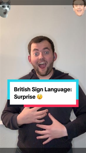 Today’s British Sign Language sign? ✨ Today’s sign is: #Surprise #😲 ! Curious to learn more? I share a new BSL sign every day – perfect for beginners, learners, and sign lovers! #surprise #shock 🔍 P.S. I’m from the South of the UK, so some signs might be regional! Let’s celebrate language and inclusion together 💬💙 #BritishSignLanguage | The Deaf Chef