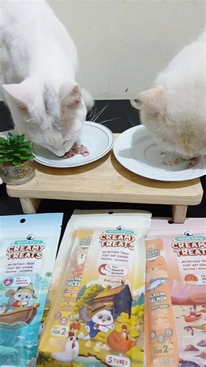 Healthy Snack Options for Your Cat - Creamy Treats