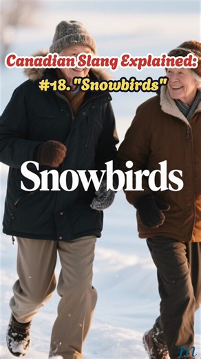 6K views · 42 reactions | Canadian Slang Explained: #18. "Snowbirds" Some Canadians migrate south for winter—they’re called Snowbirds! ️ A Snowbird is someone who escapes the cold by spending winter in warm places like Florida or Mexico. Smart move, eh? If you could skip winter, where would you fly off to? Follow for more Canadian slang and lifestyle fun! #CanadianSlang #SnowbirdLife #CanadaEh #snowbirds | Canada & Citizenship Practice Tests | Facebook