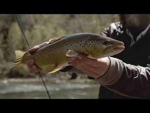 Jackson River Trout Fishing with Wesley Hodges