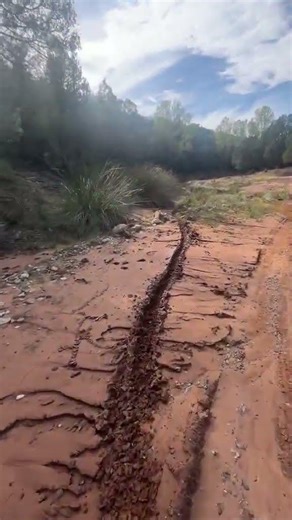 A little mud never hurt anyone 😂 #offroad #honda #crf300l