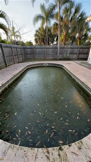 Pool Cleaning Tips: How to Clean a Dirty Pool Fast
