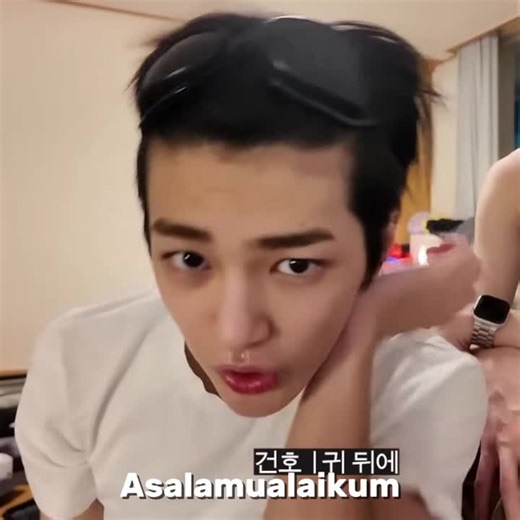 kono bawa anjing ke rumah#cortis #meme #fyp