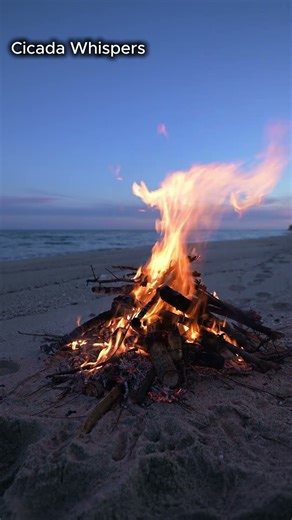 Edelin – Cicada Whispers Acoustic Singer-Songwriter Warm acoustic #acousticballad #edelin