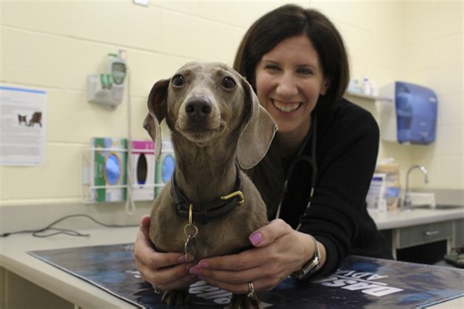 MSPCA-Angell | LinkedIn