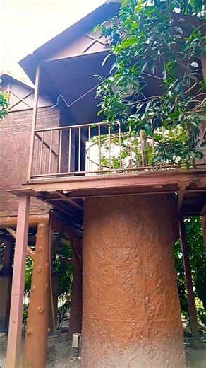 “Dreamy Tree House View 😍🌳 | Nature Lovers Must Watch!”