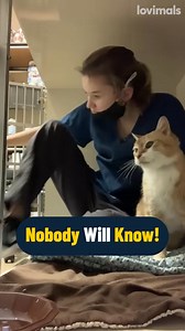 29K views · 721 reactions | When the vet found her  | Lovimals | Facebook