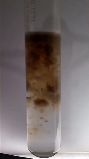 Silver Nitrate + NaOH | Brown Precipitate Reaction #experiment #naoh #agno3 #silvernitrate