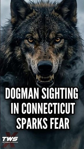 DOGMAN SIGHTING IN CT SPARKS FEAR #paranormalpodcast #podcast THE WEEKLY STRANGE