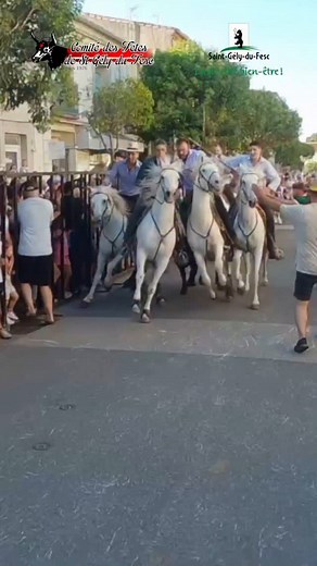 J3. La place a vibré au son de la sambaaa 🇧🇷 | Comité-Fêtes Saint Gély