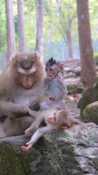 Awesome Lovely Rina And Shania