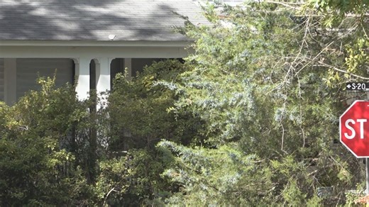 Fair Housing rights in South Carolina