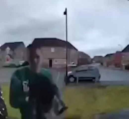 jojo cat #cat #meme #memes #memez