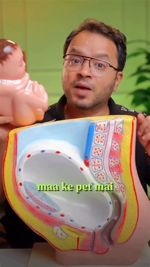 Rajneesh Upreti on Instagram: "Did you know your baby’s brain starts developing even before birth? 🧠💫 Every minute, 250,000 new brain cells are being created! The early months decide so much — memory, calmness, even confidence. And what matters most? Your nutrition, emotions & daily rhythm. Comment BRAIN 💭 to get my science-backed weekly guide for boosting your baby’s brain. Follow @rajneeshupreti for mindful pregnancy care. #pregnancy #pregnant #healthybaby #healthymom #pregnancytips"