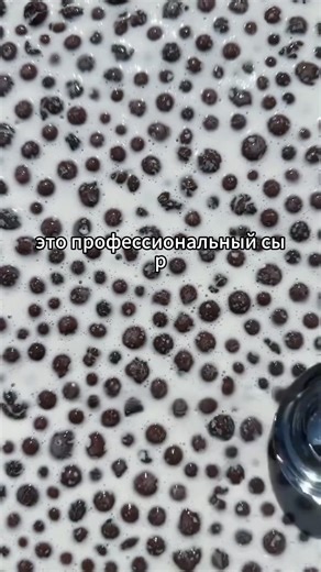 TikTok Trends & Popular Videos