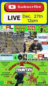 BDRL K9 Sports: Holiday Classic Dog Race Preview! History Will Be Made! #shorts