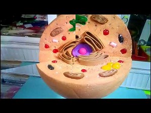 Maqueta de celula animal con dulces