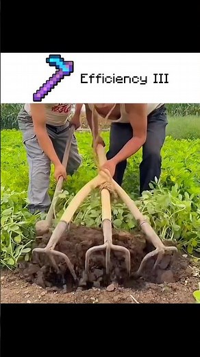 Minecraft enchatments in real life. 🏡🕷️ #minecraft #minecraftshorts