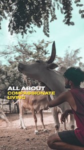 4.8K views · 37 reactions | What does compassion mean to you? Comment...