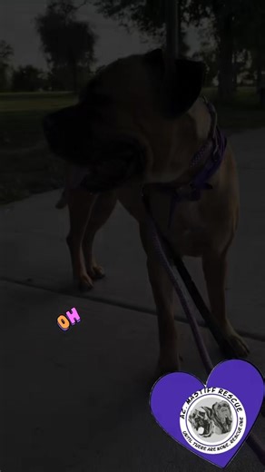 2.5K views · 54 reactions | Becky Rebecca Roberts Featuring this...