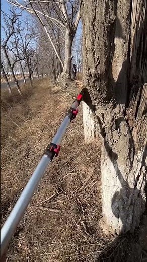 telescopic high branch saw