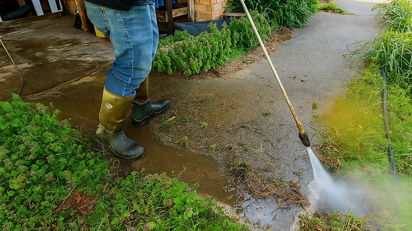 Filthy to Flawless - Power-Washing Clean-Up Leaves Disabled Homeowner Stunned!