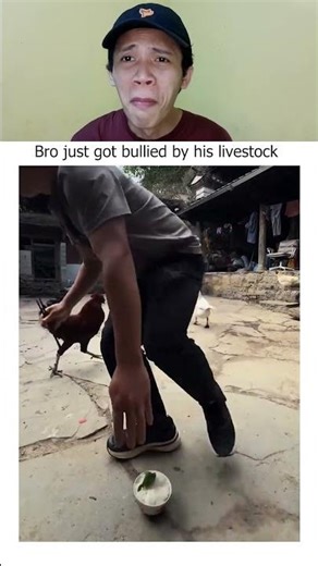 Try Not To Laugh Challenge 33😂🤣 #funny​ #shorts​ #viral​