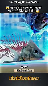 The Movies Scenes on Instagram: "Movie Name - The Missing Master Chief google gemini viral 3d ai photo editing ai photo editing in google gemini 3d ai photo editing ai photo editing tutorial instagram trending ai photo editing in google gemini instgram viral ai photo editing trending ai figure photo tutorial In google gemini ai photo editing body figure 3d ai photo editing google gemini ai photo tutorial google gemini editing tutorial ai photo editing #googlegiminiaiphotoediting #3daiphotoeditin