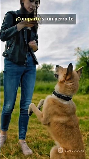 Interesting Facts about Dogs 🐶