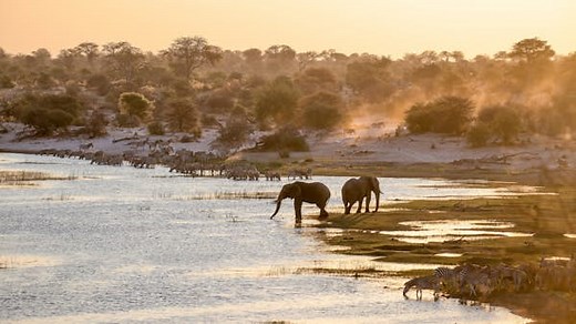 8 of the best places to visit in Botswana for wildlife, safaris, and unique landscapes - Lonely Planet