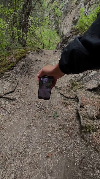 Nature at Its Best: A Beautiful Moment Captured