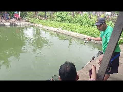 Mancing Ikan❗️Tragedi Bawal Babon Dua Kali Hook Up Dua Kali Gagal Naik Mental Diuji