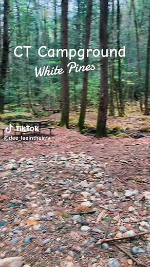 Exploring White Pines Campground in Connecticut