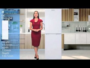 LEC TF5517W Fridge freezer review