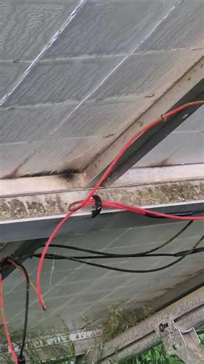 PV Modul defekte Rückseitenfolie 1 von 2