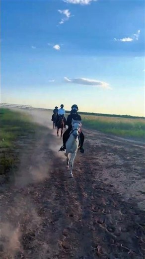 Feel the Wind: Horseback Riding Adventure in the Grasslands