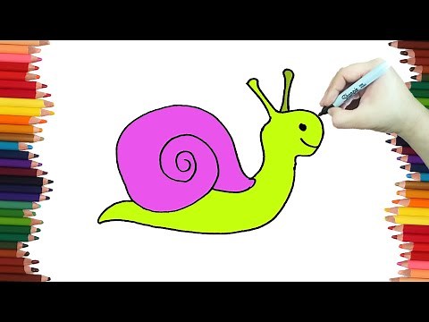 Como dibujar un CARACOL paso a paso y MUY FACIL - Dibujos para Colorear