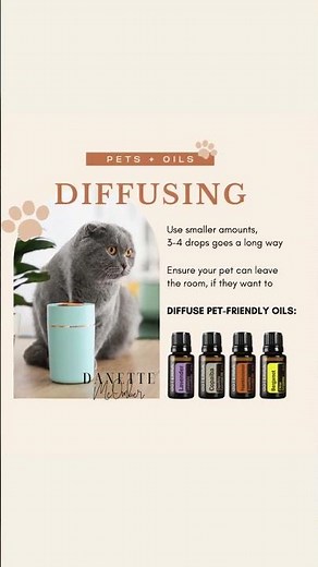 How to safely diffuse essential oils for dogs, cats, and other pets