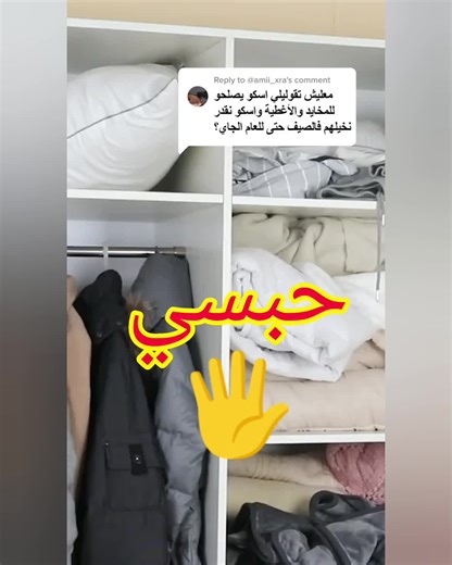 InShot_20241130_205019911