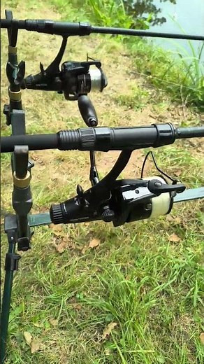Fox EOS Rod & Reel Review 🎣 Best Budget Carp Setup 2025?! #FishingGear #Shorts"#carpfishing #fox