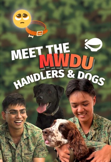 When your co-worker has four legs and outperforms you 😭 #sgtok #fyp #tiktoksg #singapore