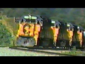 Chessie Action In Garrett County, MD 1987